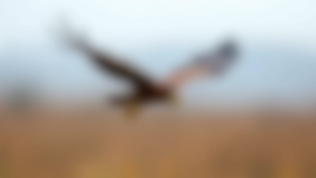 Eurasian marsh harrier with brown and grey plumage gliding low over wetland reeds during overcast autumn day